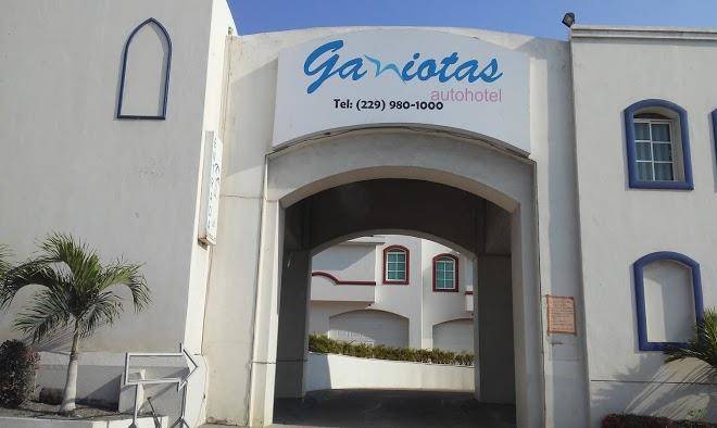 Las gaviotas