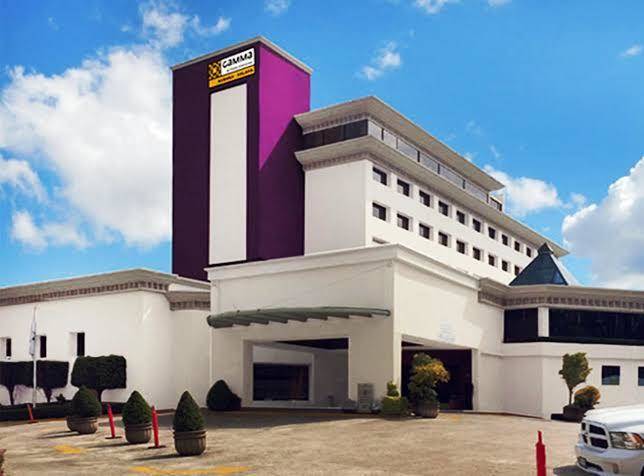 Gamma xalapa nubara