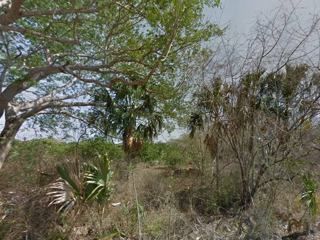 Complexe munha uxmal
