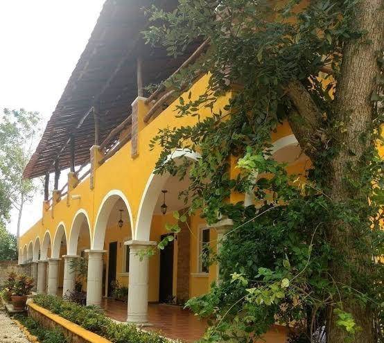 Casa novelo