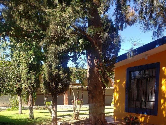 La finca del abuelo