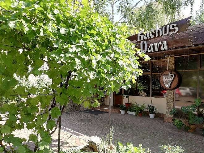 Hotel bachus