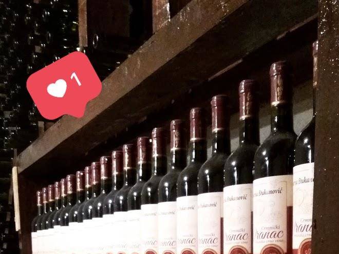 Winery Djukanovic Image