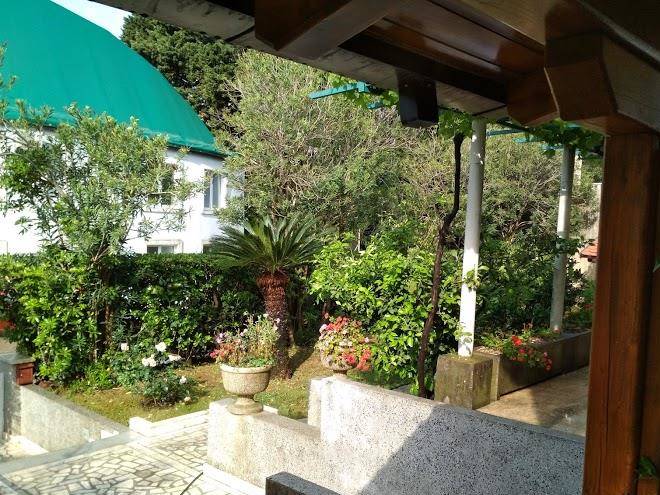 Maris garden
