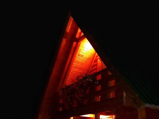 Brvnara Borovik Image