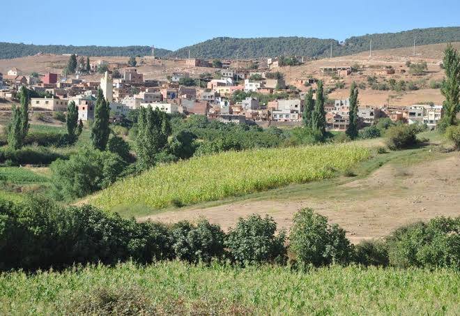 Tamanoucht