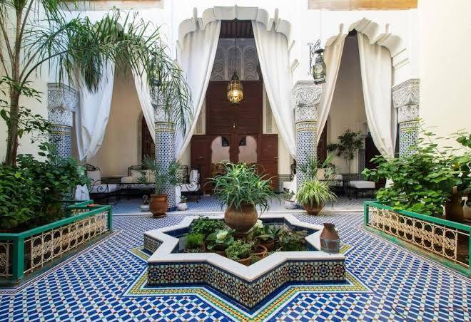 Riad vega