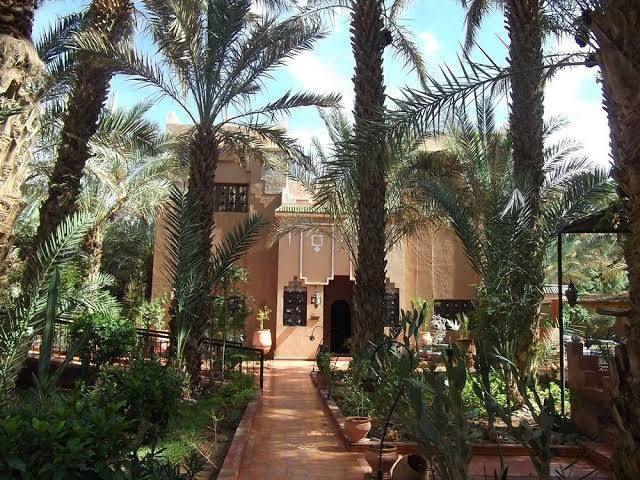Les jardins du draa