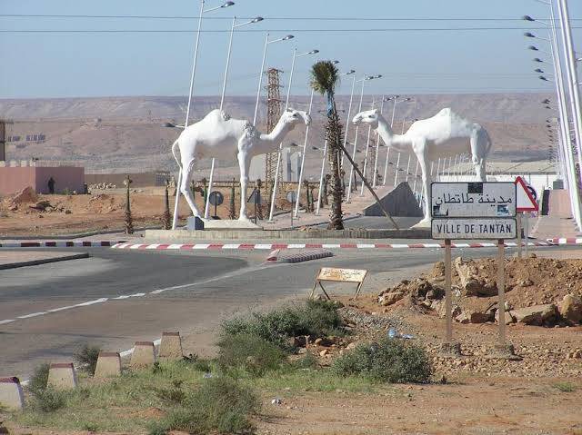 Hotel al madina