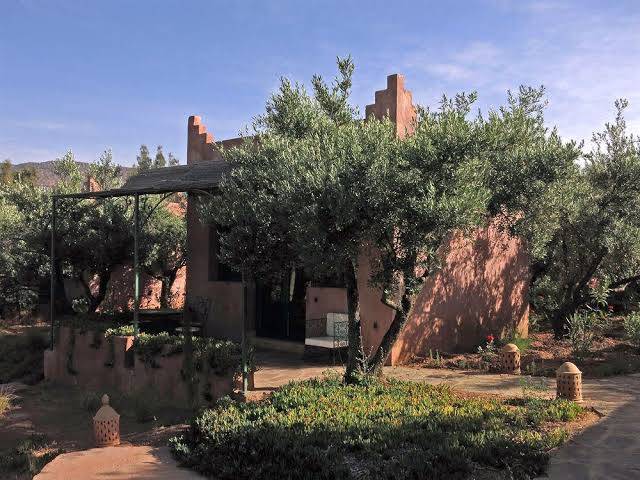 L'oliveraie de marigha