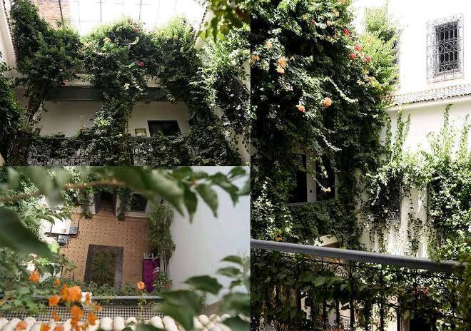 Bougainvillea riad