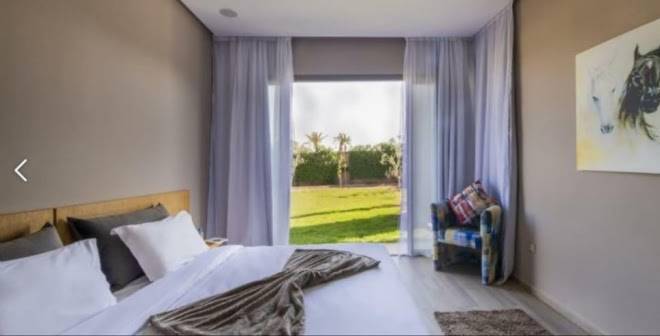 Palms edge