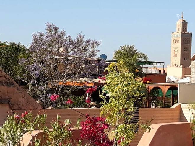 Riad aloes marrakech