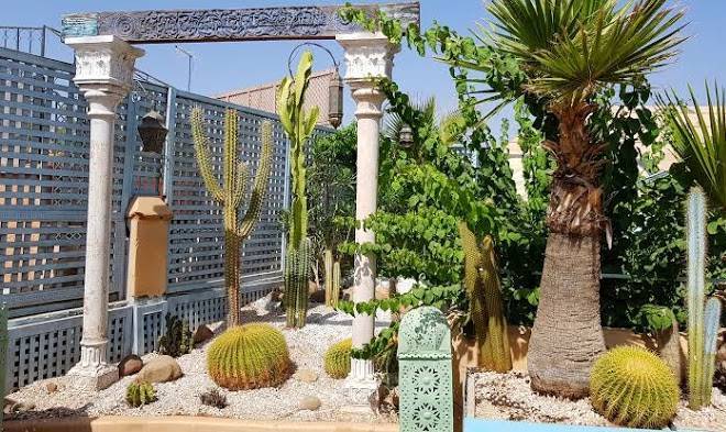 Riad armelle