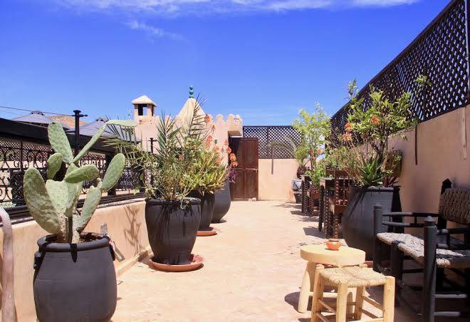 Riad dama