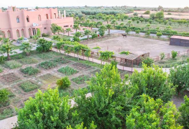 Riad dar zen salma