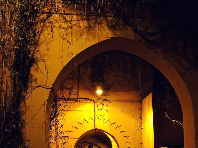 Riad ella
