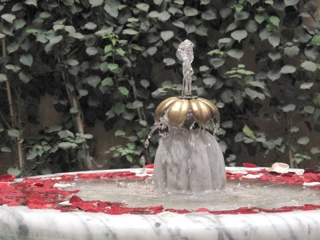 Riad le perroquet bleu