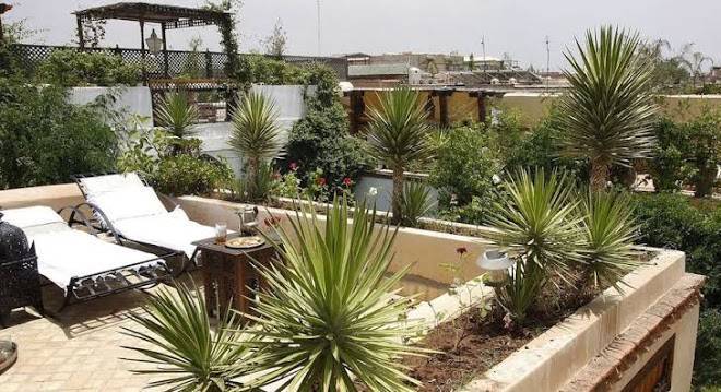 Riad lyla