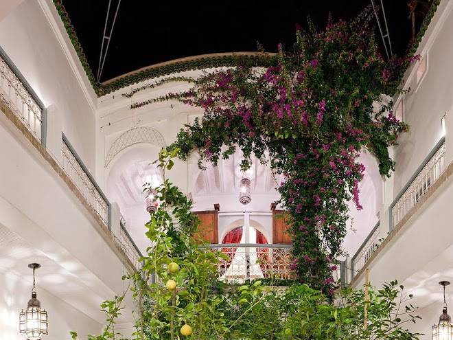 Riad zohar