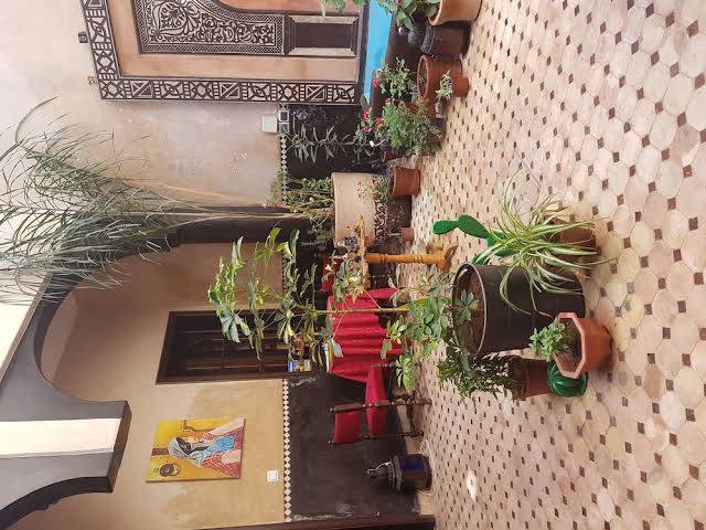 Riad samara