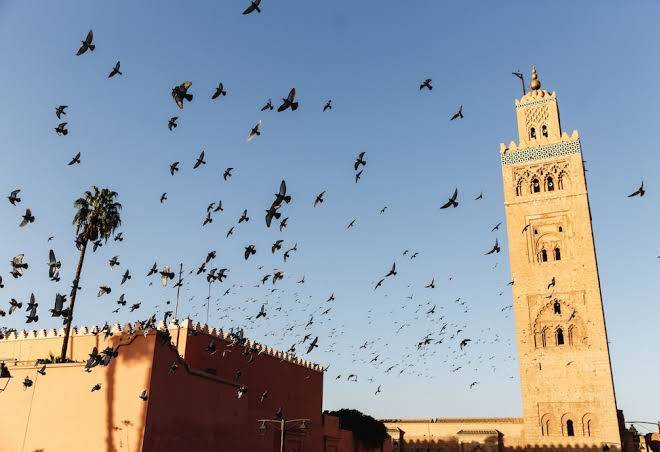 Riad sharmance