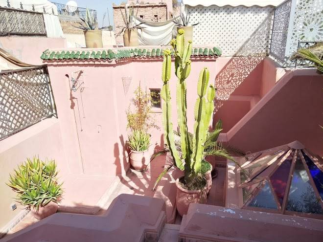 Riad the bohemian jungle