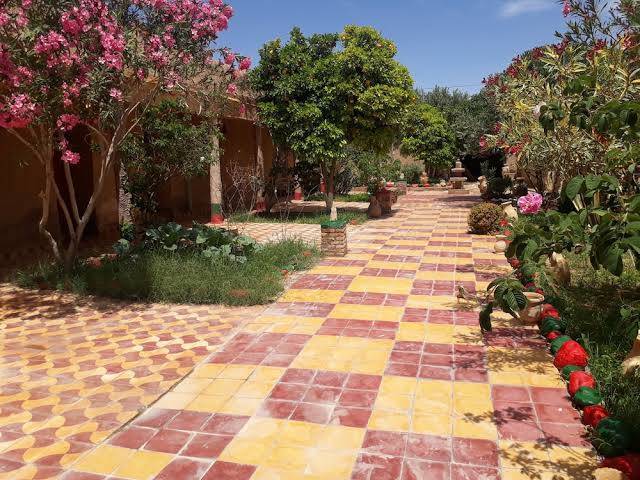 Gite d etape khettara oasis