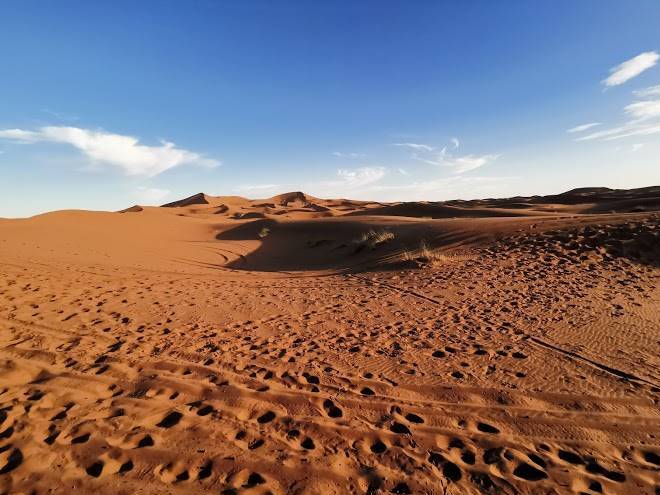 Camel trek merzouga