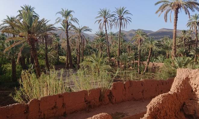 Maison d'hote ''j''