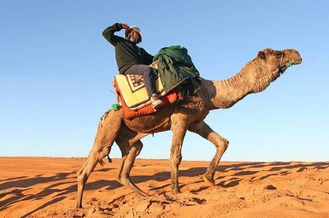 Merzouga camel trekking
