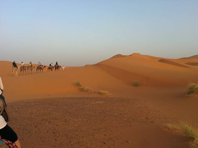 Morocco camel trekking ride in merzouga & night in desert