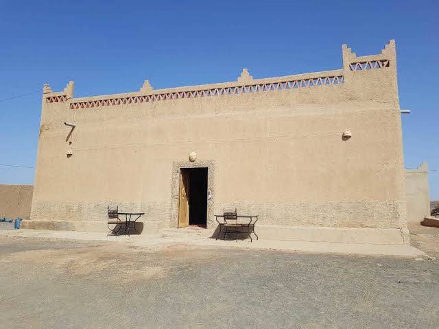 Riad desert camel