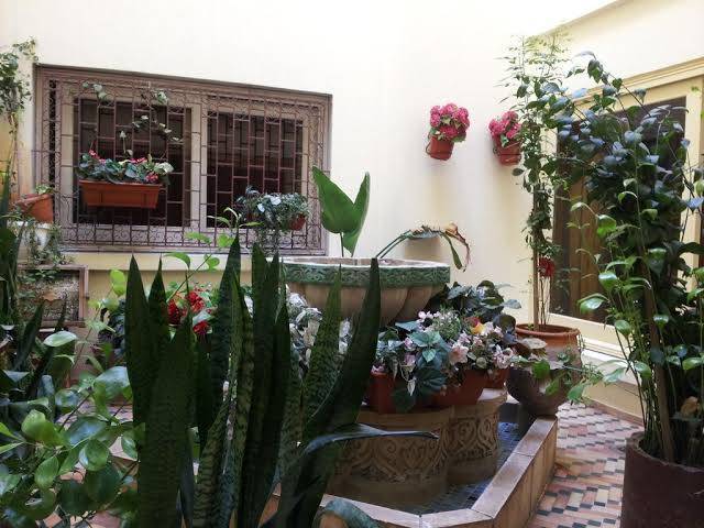 Hotel la giralda