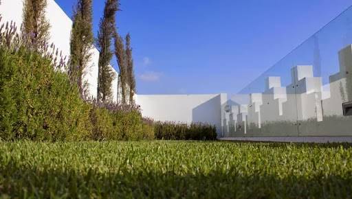 Riad zyo