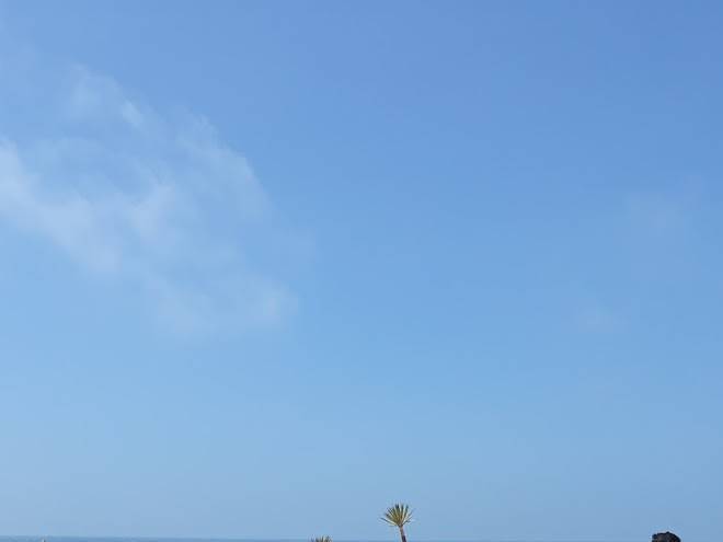 Greenwave ecolodge