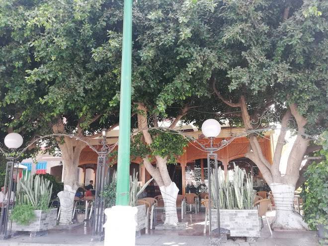 Hotel riad souss