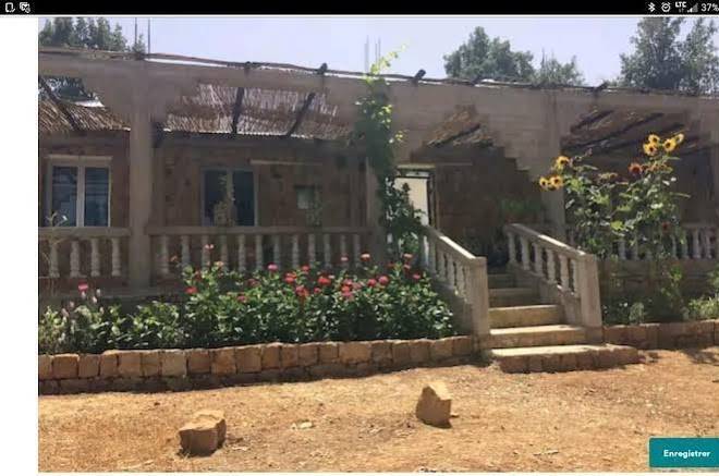 Auberge abou hachem