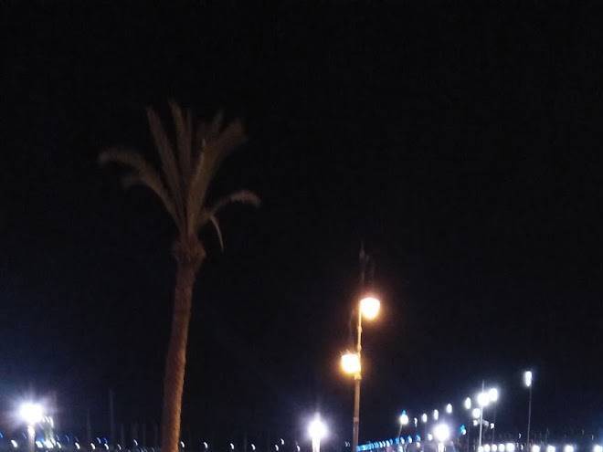 Al marina bay