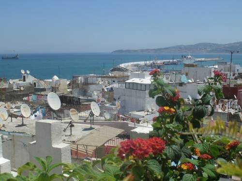 Dar tan gib