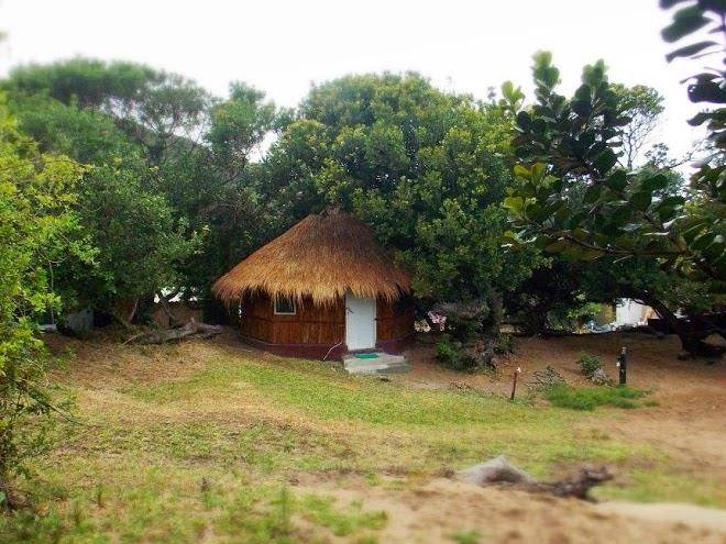 Montego resort