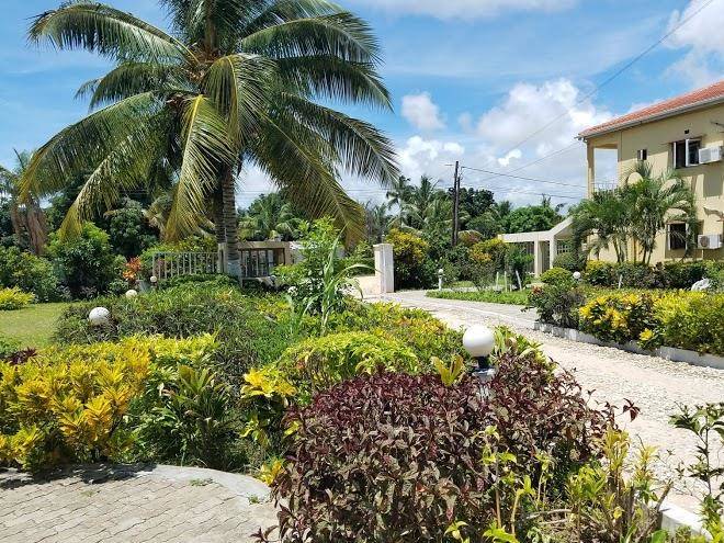 Hotel massunguine
