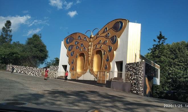 Golden butterfly hotel