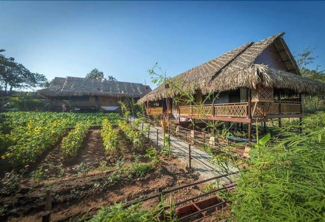 Hotel queen jamadevi
