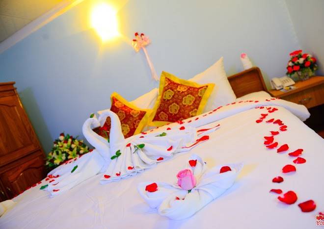 Vega star hotel