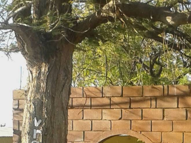 Indigo selfcatering