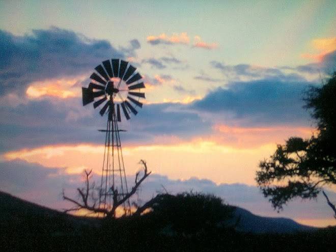 Lovedale farm holidays