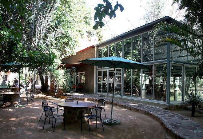 Waterberg wilderness