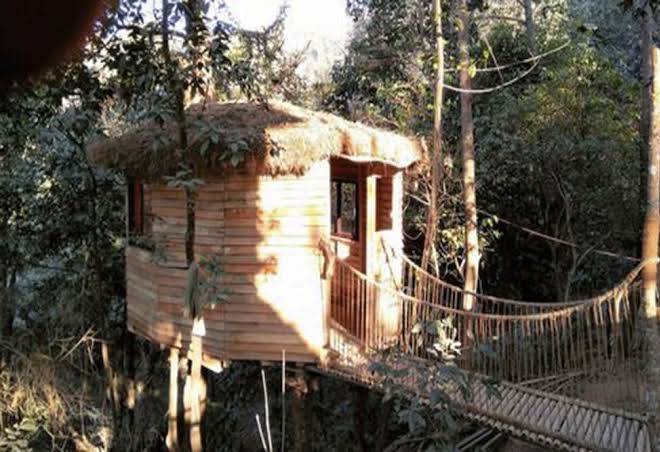 Bunjungle Adventures Image