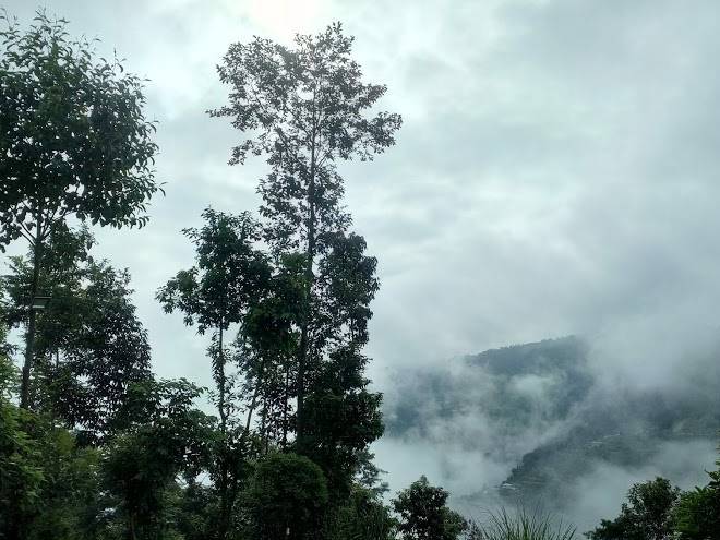 Forest buddha resort